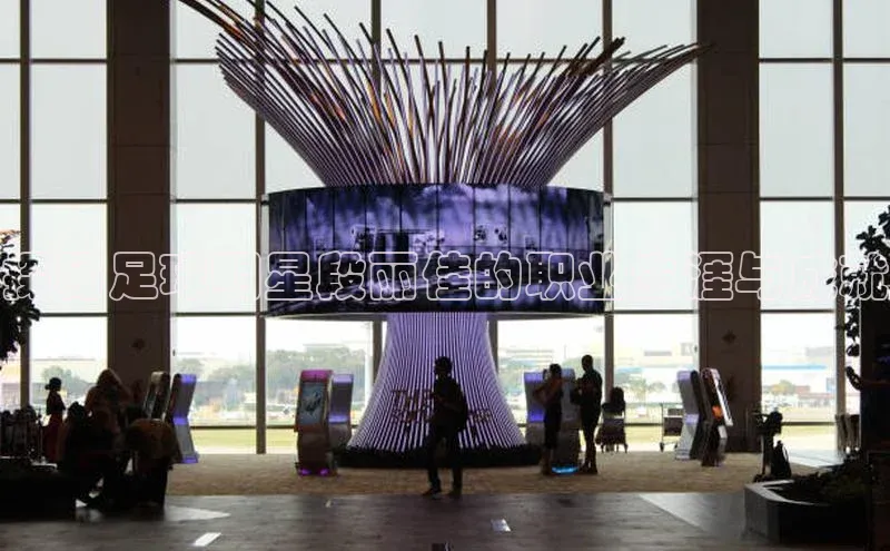 万向注册入口宇信科技探秘足球明星段丽佳的职业生涯与成就