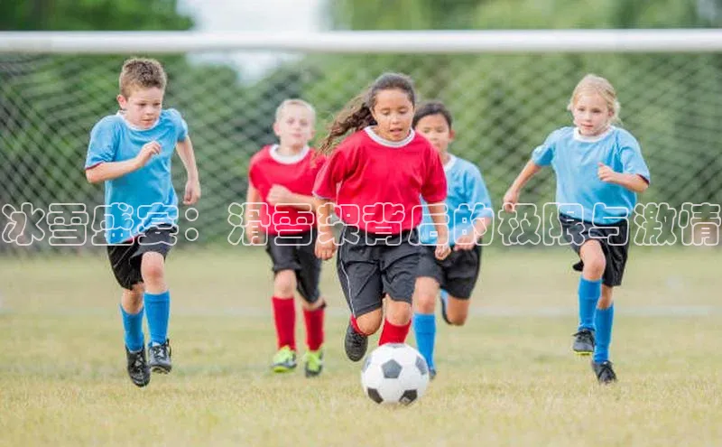 冰雪盛宴：滑雪架背后的极限与激情