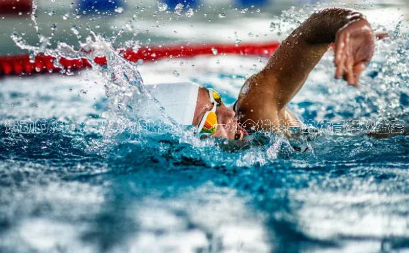 运动的魅力：从赛场到社区——一场全城共享的体育狂欢盛宴