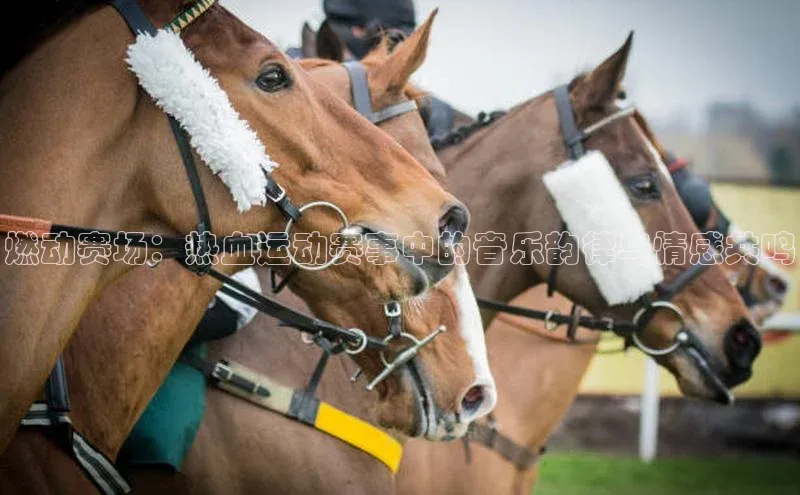 燃动赛场：热血运动赛事中的音乐韵律与情感共鸣