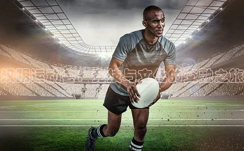 汉阴运动会：竞技与文化的交融之旅