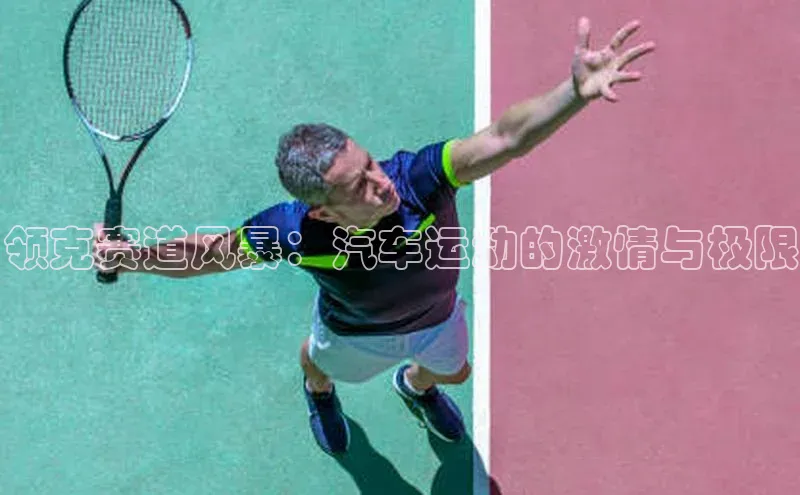 领克赛道风暴：汽车运动的激情与极限