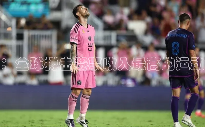 ：全球搏击赛事收入最高的运动