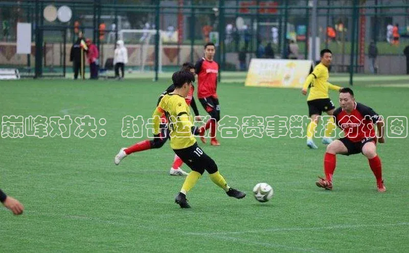 巅峰对决：射击运动各赛事数据分析图