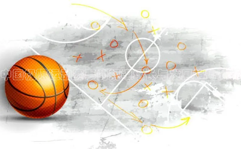 中国极限运动赛事的规模增长与发展趋势分析