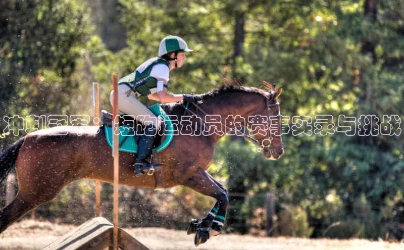 万向娱乐登录入口注册