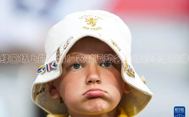 万向娱乐官方入口